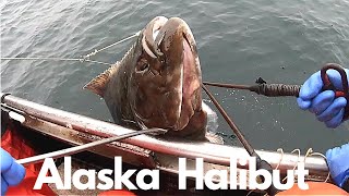 Fishing Alaskan Halibut HD  HaulCleanGiant Halibut 2020 [upl. by Elyl]