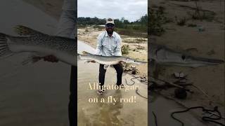 Possibly the last alligator gar of the season alligatorgarflyfishing alligatorgar texasflyfishing [upl. by Ordep]