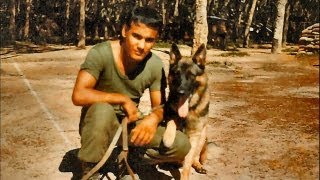 The War Dogs Story Giving a Voice to the Voiceless extended trailer 2 [upl. by Louise]