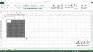 Merge And Unmerge Cells And Modify Cell Alignment And Indentation [upl. by Nomaid646]