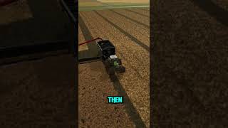 Canola Chaos 🌾🤣 fs22 farming chatgpt [upl. by Hsital]