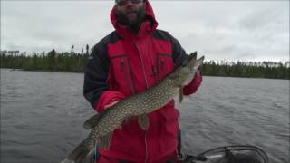 Leuenberger’s FlyIn Lodge and Wilderness Outposts  Fly Fishing on Kagianagami Lake Pt 2 [upl. by Alika]