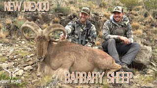 New Mexico Barbary Sheep Hunting at LOH Outfitters [upl. by Donn]