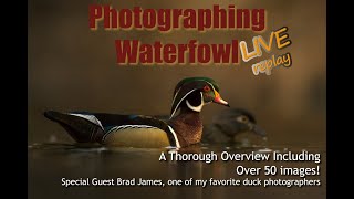 Photographing Waterfowl [upl. by Eki96]