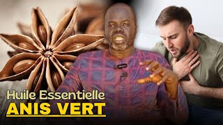 Bienfaits Huile Essentielle de ANIS VERT  Pr Ousmane Ndiaye  LansarrTV [upl. by Aitahs]