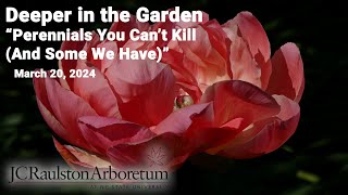 Deeper in the Garden  quotPerennials You Cant Kill And Some We Havequot [upl. by Guise]