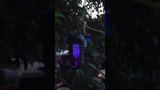 De koryente at solar mosquito killer better than fogging amp fumigation or pagpapausok [upl. by Atidnan]