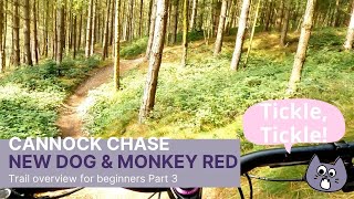 Cannock Chase Follow The Dog and Monkey Trails 2021 Pt3 [upl. by Deehsar918]