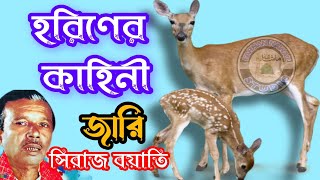 একদিন নবী মুস্তাফা হাটিয়া যাইতরা পথে দিয়া  হরিনের জারি  Horiner Jari  Jari Gaan  Siraj Boyati [upl. by Nairim]