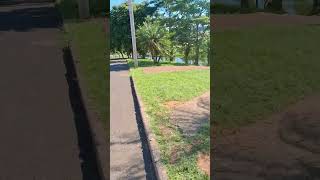 queria sinal então escuta viralvideo shortvideo [upl. by Llenyaj23]