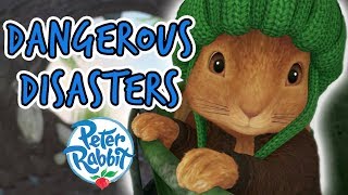 Peter Rabbit  Tales of Dangerous Disasters Compilation  40 minutes  Adventures with Peter Rabbit [upl. by Pheni187]