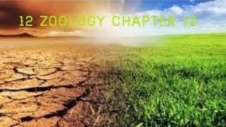 Eutrophication 12 th zoology chapter 12 in Tamil [upl. by Nnitsuj483]