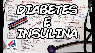 Fisiología Diabetes e Insulina Generalidades [upl. by Ahsekar]