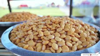 Lupini Beans at Global Village [upl. by Brass]