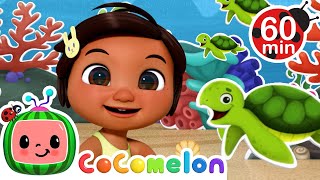 Summer Sprinkler Dance  More CoComelon Nursery Rhymes amp Kids Songs  Dance Part Mix [upl. by Kleon]