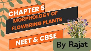 Morphology of flowering plants  Class 11 [upl. by Nesyla]