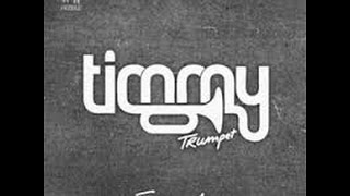 Freaks  Timmy Trumpet ft Savage Lyrics [upl. by Siegel656]