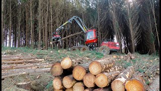 Colheita de Madeira com Harvester Komatsu [upl. by Shir]