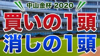 中山金杯2020【買いの1頭／消しの1頭】公開！ [upl. by Relyk]