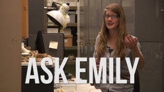 Ask Emily 1 [upl. by Gnoy]