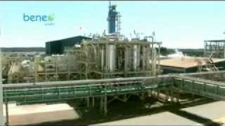 Production process of inulin and oligofructose Spanish [upl. by Drofnas17]