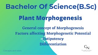 Morphogenesis  Totipotency  Differentiation  BSc Students  Concepts and Notes [upl. by Rurik909]