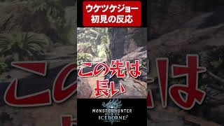 イビルジョー戦なのに受付嬢を探す羽目になる男【MHWIB実況切り抜き】 [upl. by Shaffer]