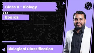 What are chemoautotrophs [upl. by Euqinemod]