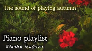 Piano playlist 가을을 연주하는 소리🍂The sound of playing autumn [upl. by Rafaello83]