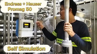 EndressHauser Promag 50  Flow Transmitter  Self Simulation  Calibration  Tagalog Tutorial [upl. by Atiekahs]