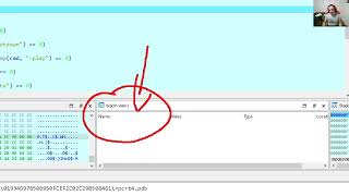 Source level and pseudocode decompiler level debugging with IDA [upl. by Rayshell]