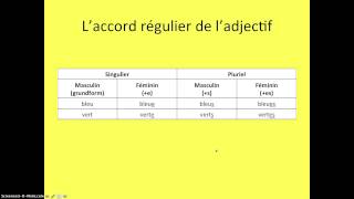 Les adjectifs  la place et laccord 1 [upl. by Iret48]