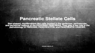 Medical vocabulary What does Pancreatic Stellate Cells mean [upl. by Dal]