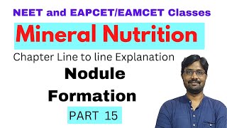 Nodule Formation  Mineral Nutrition Chapter Line to line Explanation  PART 15 [upl. by Bari]