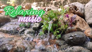 Gentle Piano Music amp Water Sounds  Calm Your Mind and MeditateSoft musicrelaxing water 5 [upl. by Tremaine]