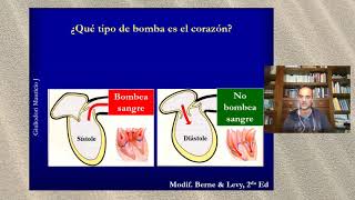 Fisiologia cardiovascular Elasticidad de la aorta en 5 minutos [upl. by Darnoc]