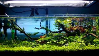 ADA 60F [upl. by Mcnamara]