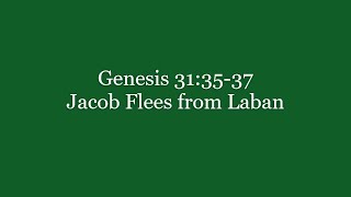 260 Genesis 31 3537 Jacob Flees from Laban [upl. by Santos]