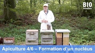 L’apiculture bio au cours de l’année – Formation d’une jeune colonie par essaimage partie 46 [upl. by Harvie]