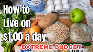 EATING FOR 1 A DAY in 2024  EXTREME BUDGET MEAL PLAN [upl. by Assetniuq]