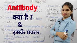 What is Antibody   Types of Antibody  एंटीबॉडी क्या है  एंटीबॉडी के प्रकार  By Manisha Maam [upl. by Eihpos164]