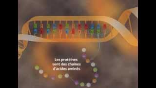 Les effets des rayonnements sur la santé [upl. by Acisej]