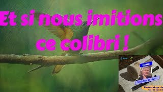 la légende du colibri [upl. by Pinchas]