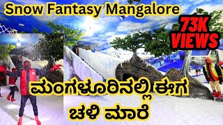 Coastal Karnatakas first Snow park is here  Snow Fantasy  is now open at Mangalore [upl. by Eiramadnil226]