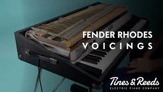 Fender Rhodes Voicings [upl. by Atimad957]