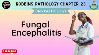 Fungal Encephalitis  Cerebral Toxoplasmosis  Cysticercosis  Amebiasis cnspathology mbbs [upl. by Wilma]