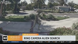 Ring Camera alien search underway [upl. by Gnohc126]