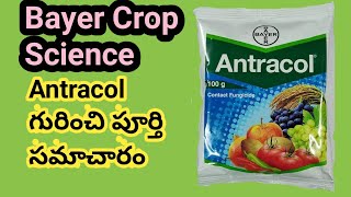 Bayer Crop Science Antracol Fungicide Uses in telugu  My Wildlife  Fungicides uses telugu [upl. by Cence]