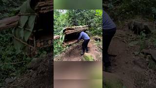 Make A Shelter Hanging On A Tree To Survive Alone In The Forest bushcraft camping camp building [upl. by Calida636]