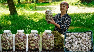 Storing Fresh Garlic collected from the harvest for the winter How to pickle garlic in the village [upl. by Mya]